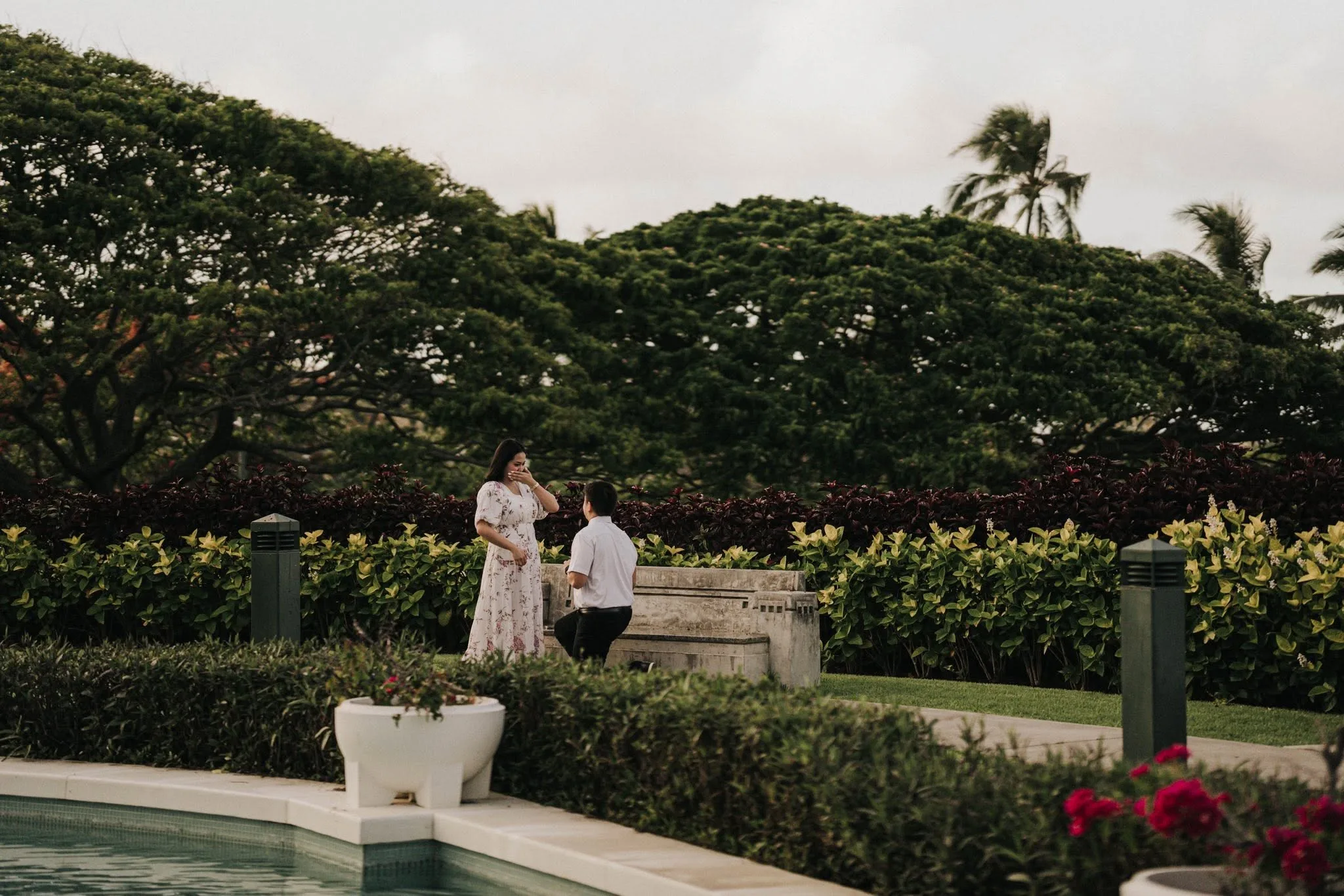 Jared & Gwyneth, San Francisco, Sacramento